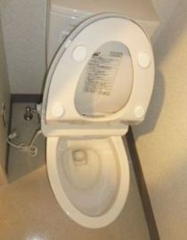 ホワイト赤坂 トイレ　写真
