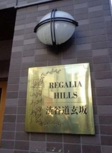 レガリアヒルズ渋谷道玄坂 エントランス　画像