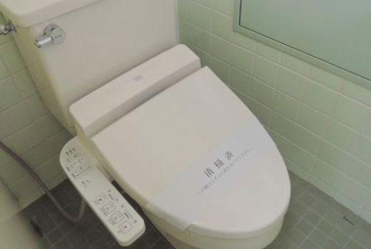 第7瑞穂ビル トイレ　写真