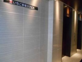 いちご赤坂317ビル エレベーターホール　写真