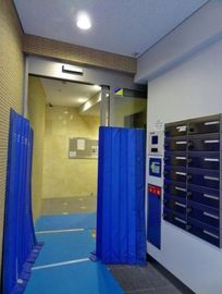 マオビル 写真