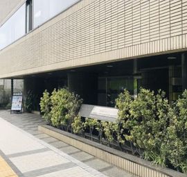 パーシモン 画像