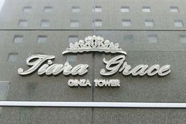 ティアラグレイス銀座タワー 物件写真 建物写真2