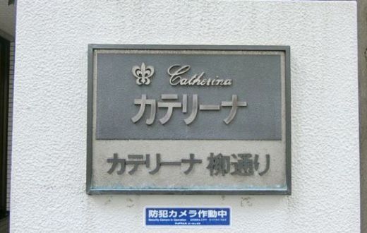 カテリーナ柳通りビル 画像