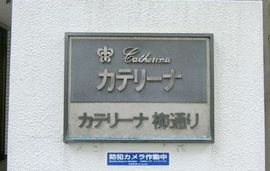 カテリーナ柳通りビル 画像