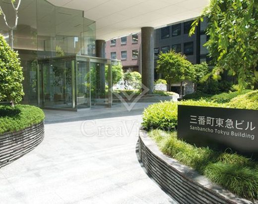 三番町東急ビル アプローチ　写真