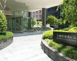三番町東急ビル アプローチ　写真