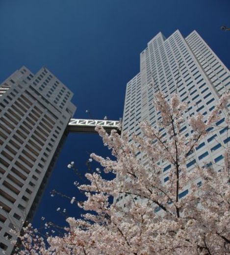 聖路加タワー 外観　画像