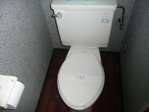 日本橋インテリジェントフラッツ トイレ　写真