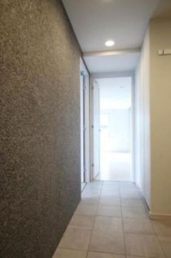 正金アパートメント入船 物件写真 建物写真3