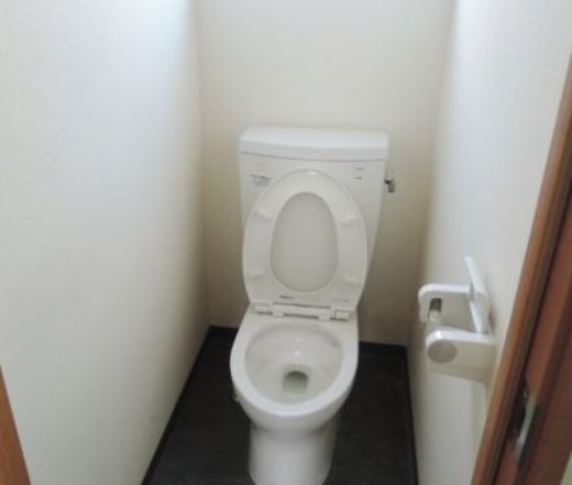 第二久ビル トイレ　写真