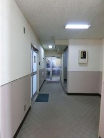 向陽ビル 廊下