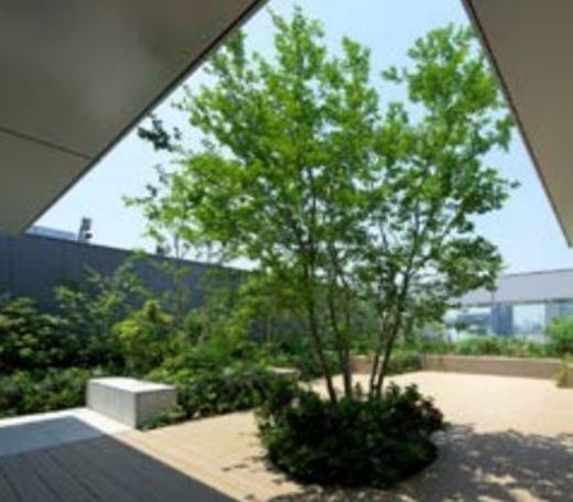 神田スクエアフロント 屋上庭園　写真