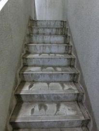 武蔵野ビル(竹橋) 階段