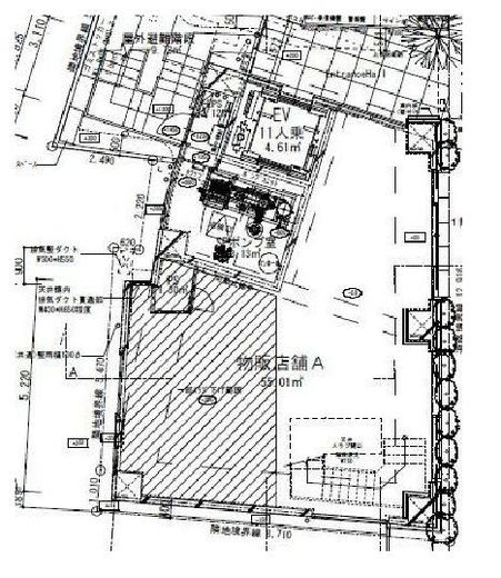 外苑いちょうの杜 1階 間取り図