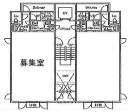 LAPIS青山Ⅱ 501 間取り図