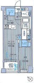 シティカレント目黒学芸大学 203 間取り図