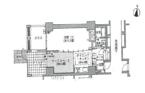 シティコート目黒 2-101 間取り図