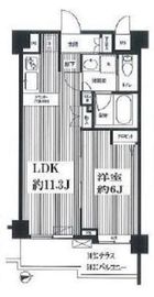 シャンドール目黒 503 間取り図