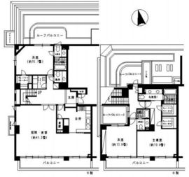 ウィンザーハウス元麻布 502 間取り図