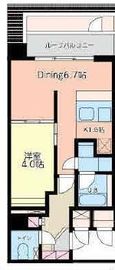 S-RESIDENCE新宿イースト (エスレジデンス新宿イースト) 504 間取り図