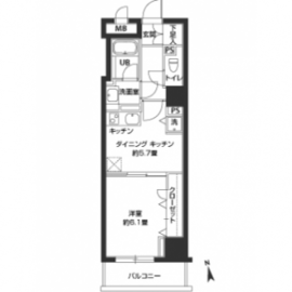 カスタリア新富町 702 間取り図