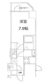 S-RESIDENCE文京小石川 (エスレジデンス文京小石川) 101 間取り図