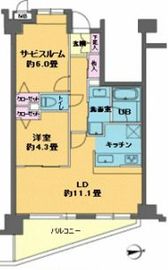 カスタリア目白 503 間取り図