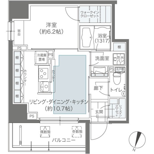 メゾンカルム本郷 501 間取り図