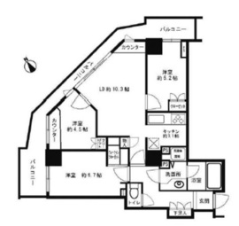 セントラルレジデンス新宿シティタワー 11階 間取り図