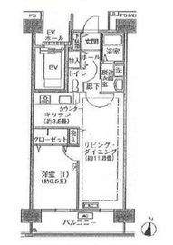 シティコート目黒 1-407 間取り図