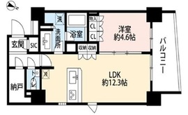 リビオレゾン千代田岩本町ザ・マークス 11階 間取り図