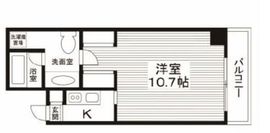 ビアン・プラーセ麻布 301 間取り図