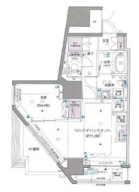 ベルドゥムール文京小石川 13階 間取り図