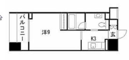 TLRレジデンス両国 804 間取り図