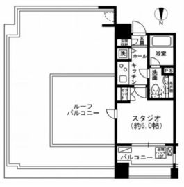 レジディア市ヶ谷 1001 間取り図