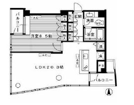 エクシーナ四谷 302 間取り図