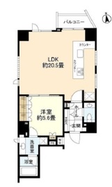 クレヴィア南麻布 13階 間取り図