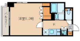 フロントコート錦糸町 502 間取り図
