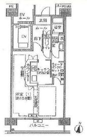 シティコート目黒 1-807 間取り図