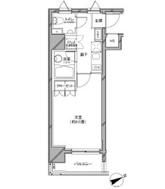 カスタリア日本橋 1101 間取り図