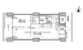 東雲キャナルコートCODAN 16-805 間取り図