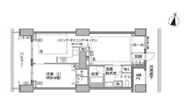 東雲キャナルコートCODAN 16-405 間取り図