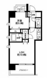 南麻布パークハイツ 501 間取り図