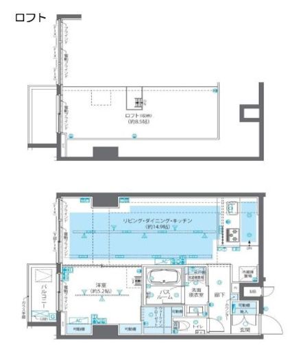 ZOOM広尾 5階 間取り図