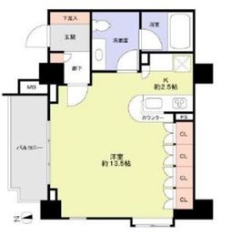 ピアース神楽坂 10階 間取り図