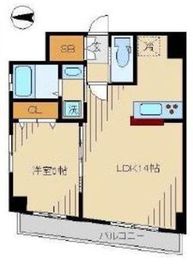 ベルティーセ新宿 401 間取り図