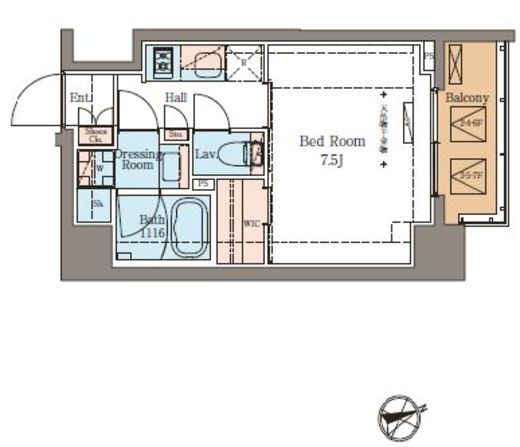 BluRock青葉台 206 間取り図