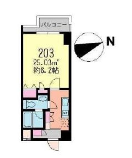 ラフィーヌ駒場クラシック 203 間取り図