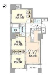 CONOE銀座イースト 10階 間取り図